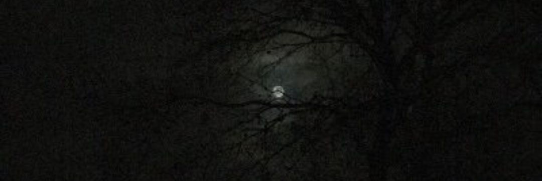 raddwa_'s profile banner image