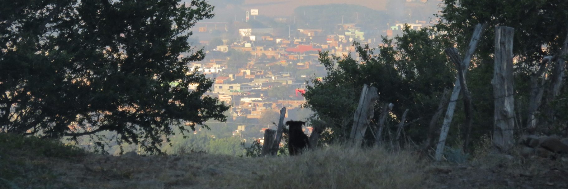 @jairomelo.bsky.social banner