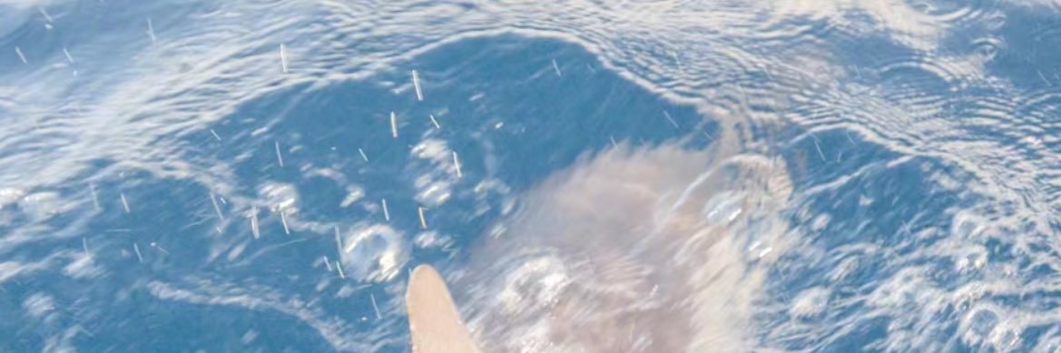 ✉️ banner
