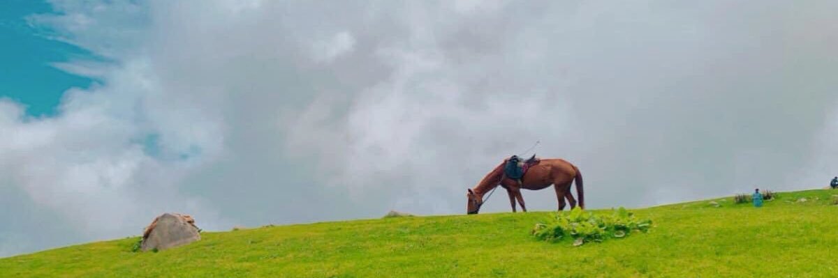 aimal_khanPak's profile banner image