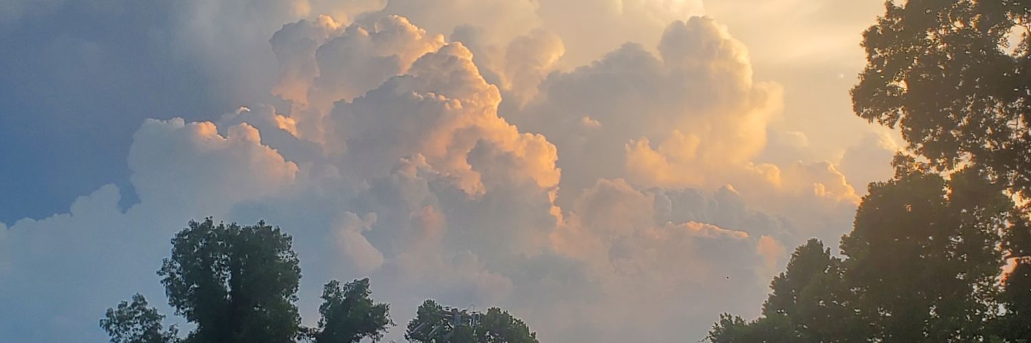 DaddyKnowsBest8's profile banner image