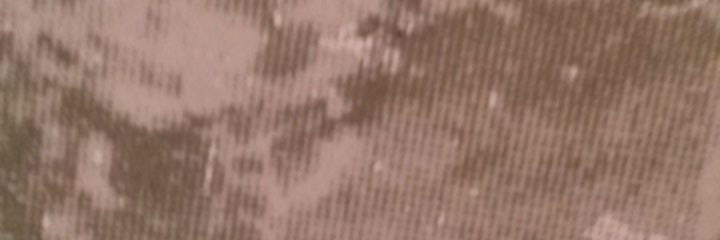 Pervertido8230's profile banner image