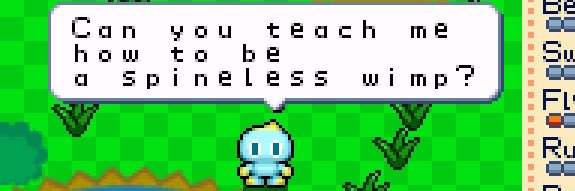Rachel PhD banner