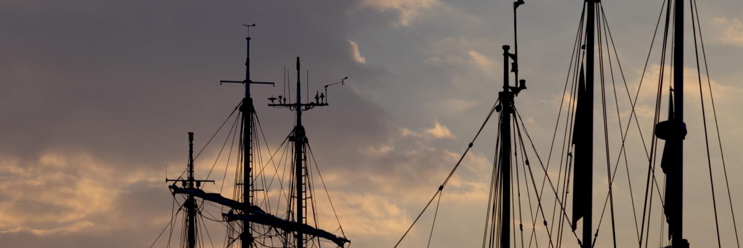 shepherd2k's profile banner image