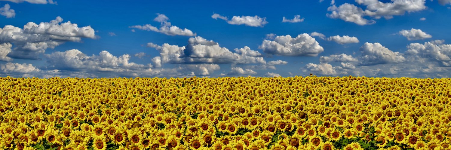 Thomas Ley 💬 banner