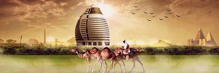 wadhamid66's profile banner image