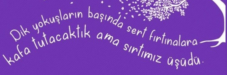 zlheren's profile banner image