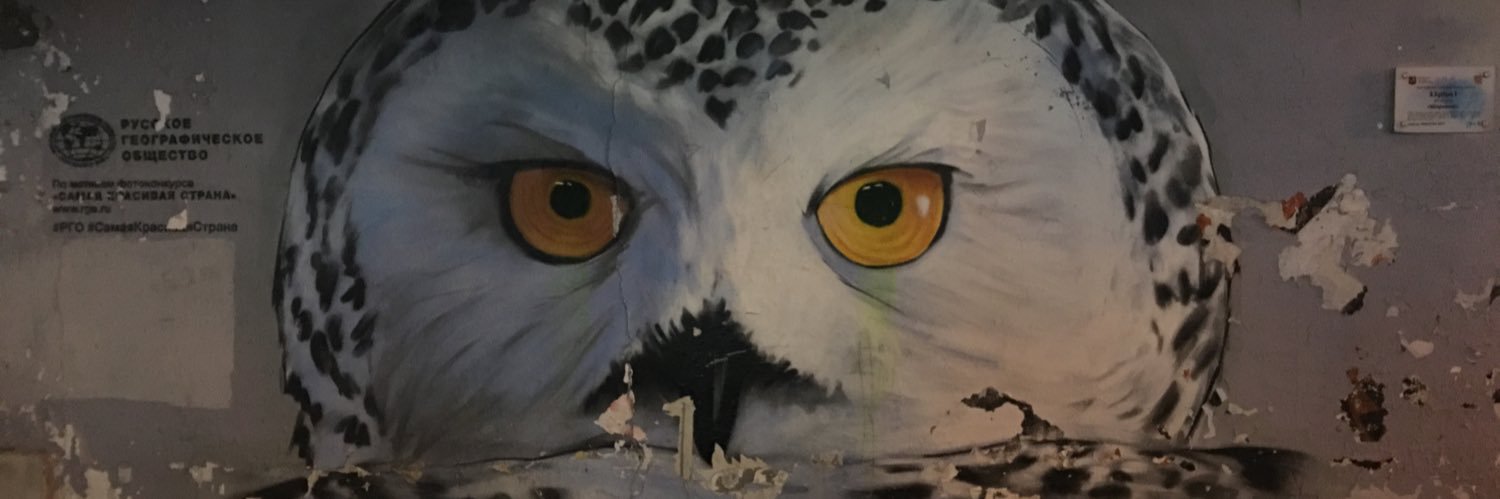 jimibungle's profile banner image