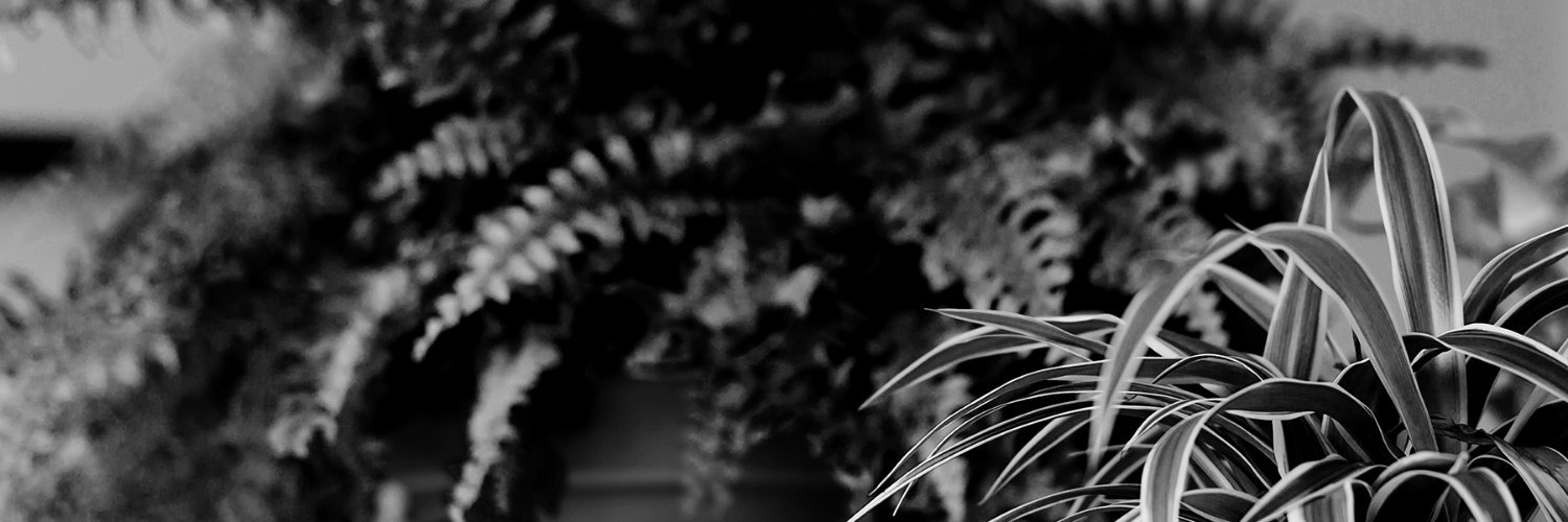 CreamUK's profile banner image