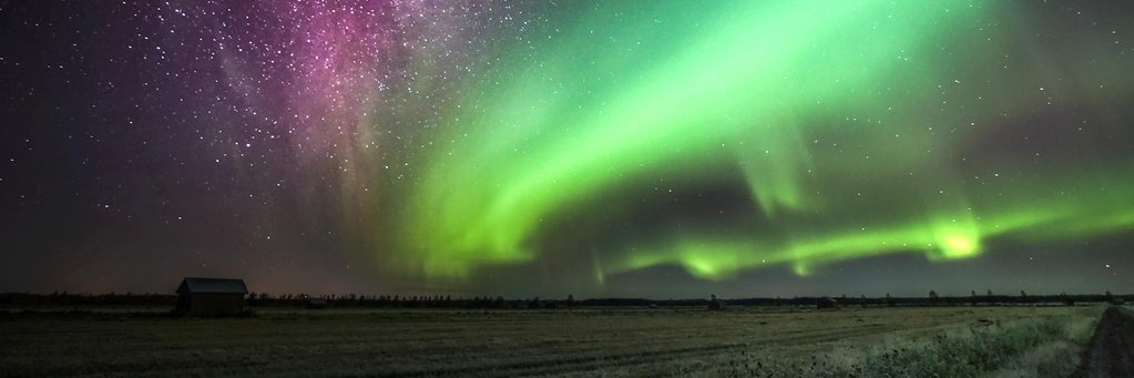 EevaRapoo's profile banner image
