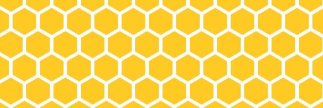 STAR banner