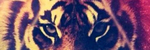 ranggailham13's profile banner image