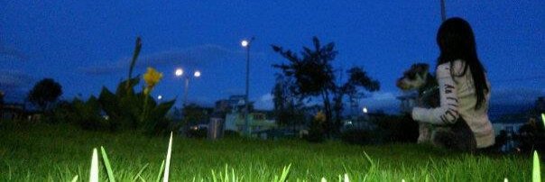 PaolaserranoL's profile banner image