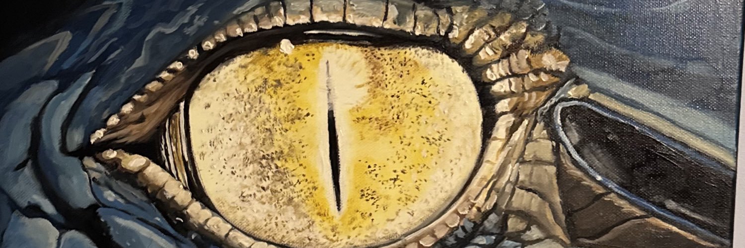 zacturtle's profile banner image