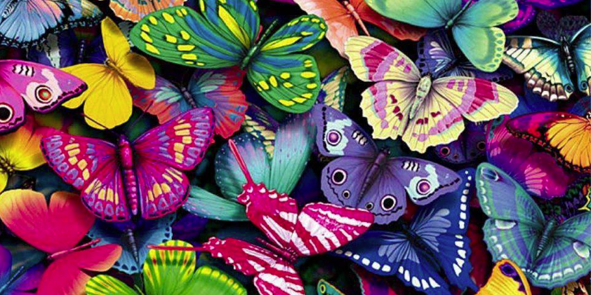 Isabelle Monsec banner