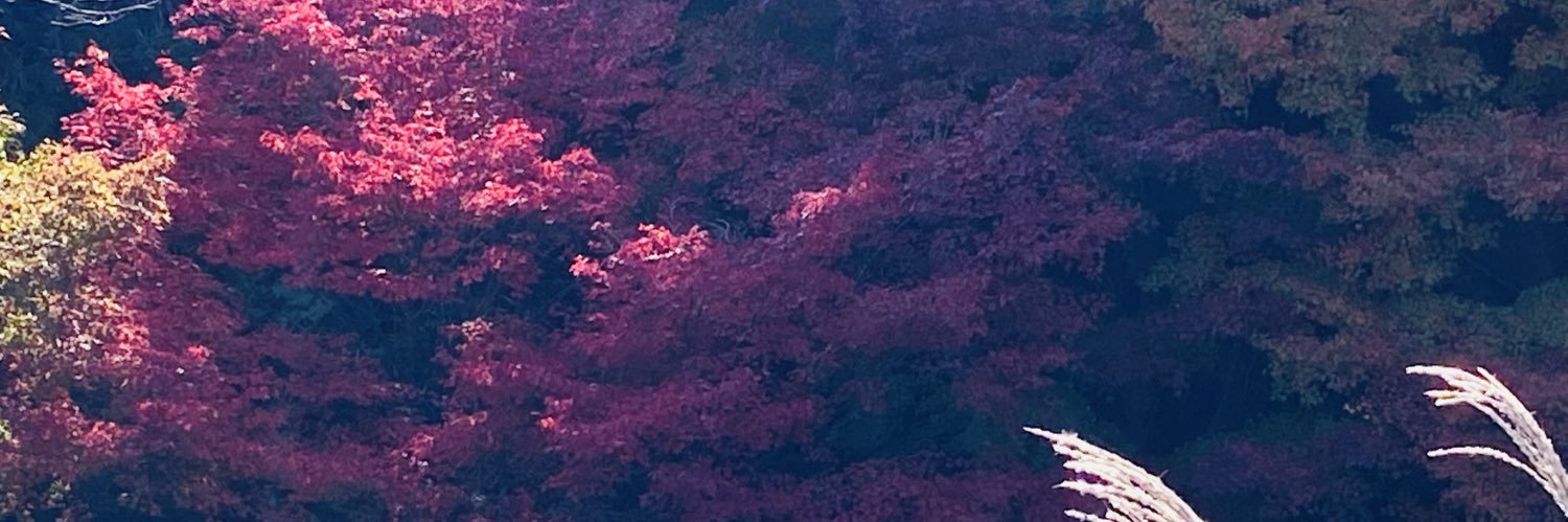 umetabo801's profile banner image