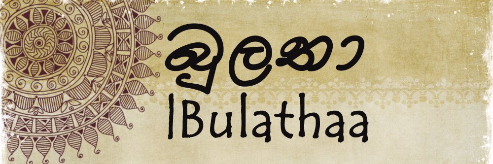 dulanjanrox's profile banner image