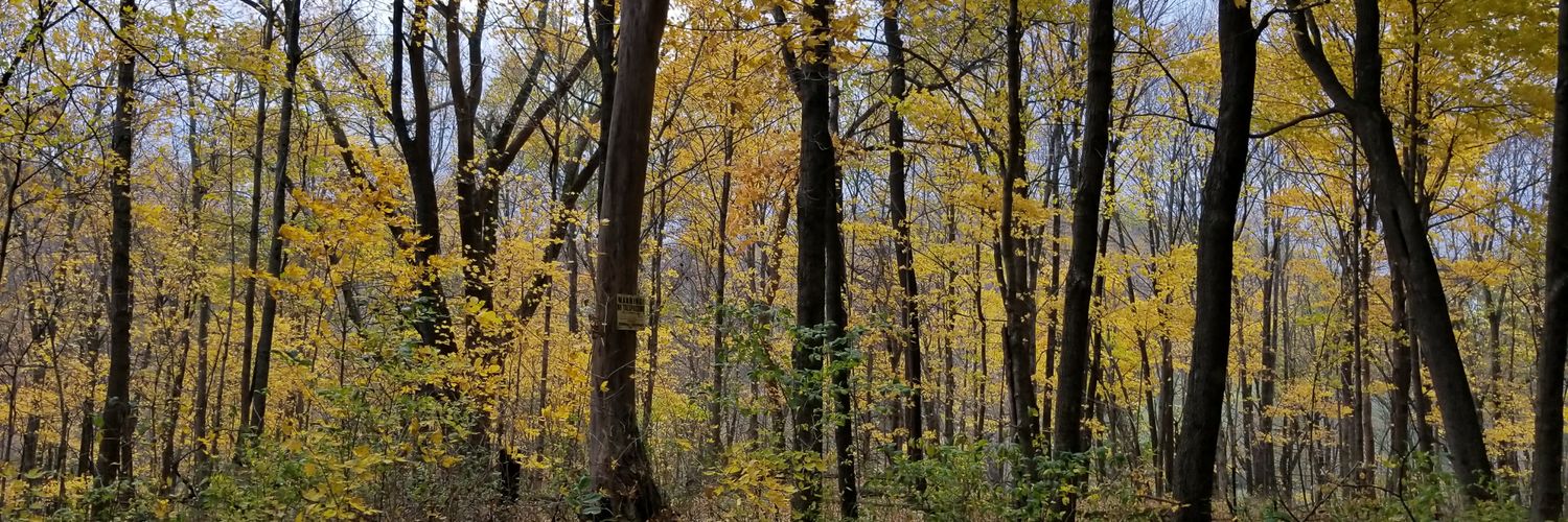 MichaelJBryson2's profile banner image