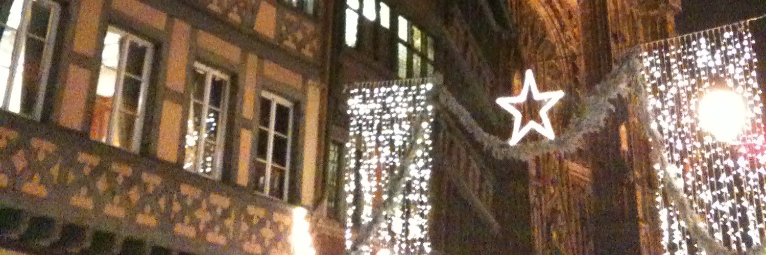 Laurent MEYER banner