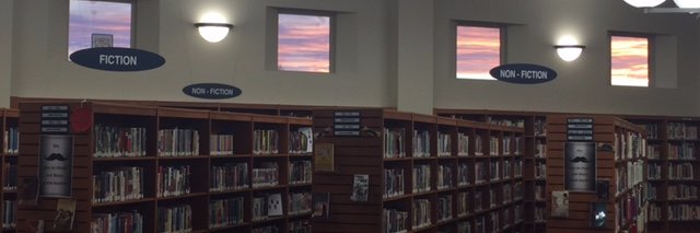 PortageCHSLIbrary banner