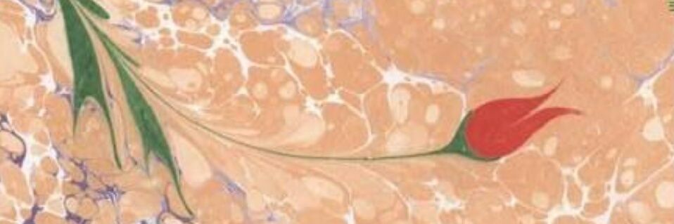 efendihaniimm's profile banner image