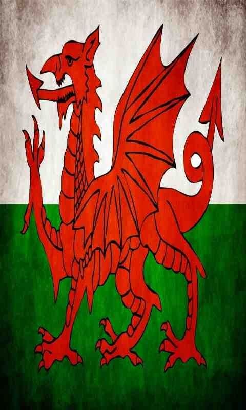 merthyr2439's profile banner image