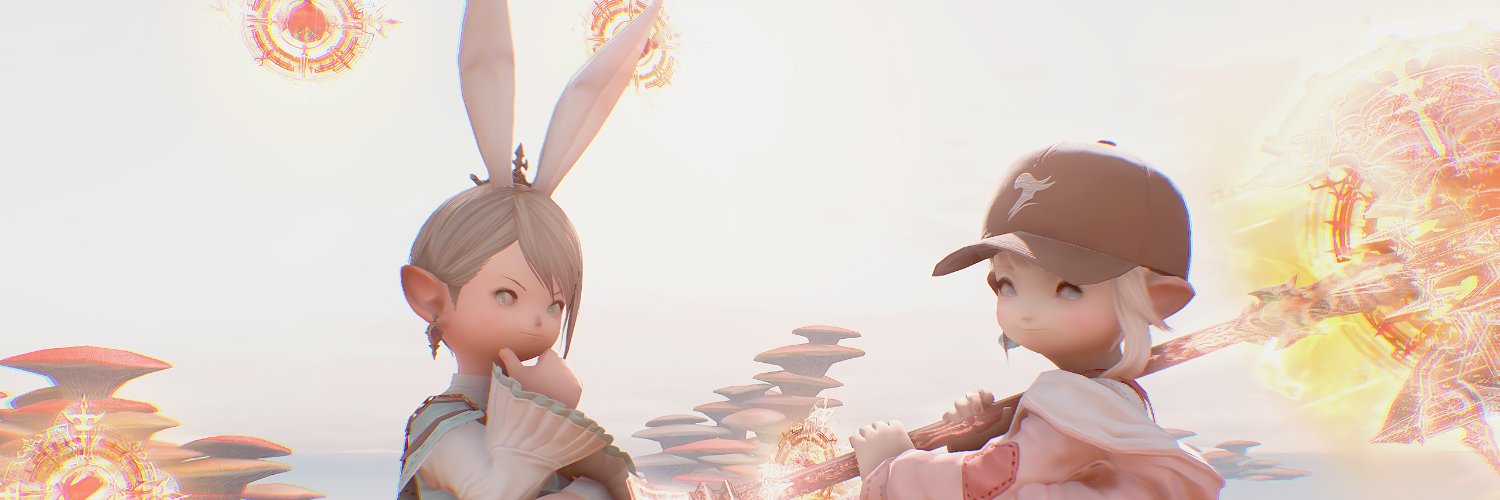 Werner banner