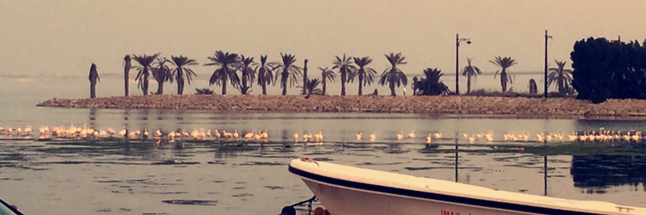 ➰النوري  ... alfayez banner