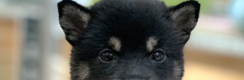 tera1260's profile banner image