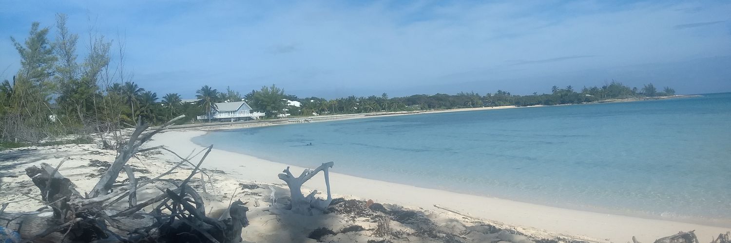 UncleDavesBeard's profile banner image