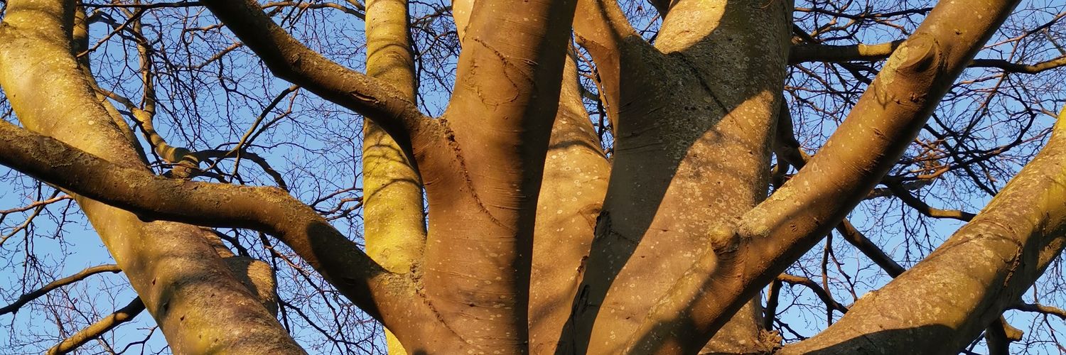 chattingh2's profile banner image