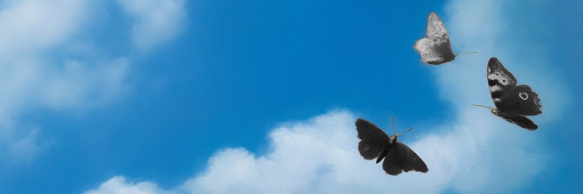 Felipe Mandiola banner