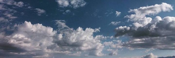 squirrel_888's profile banner image
