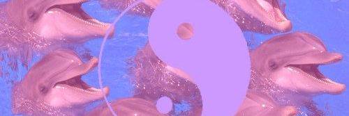 Becca G banner