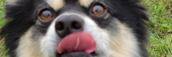 willduwilldu Profile Banner