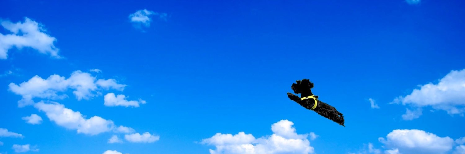 Phillip M. Hash banner