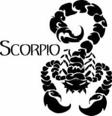 SCORPIO_ICE's profile banner image