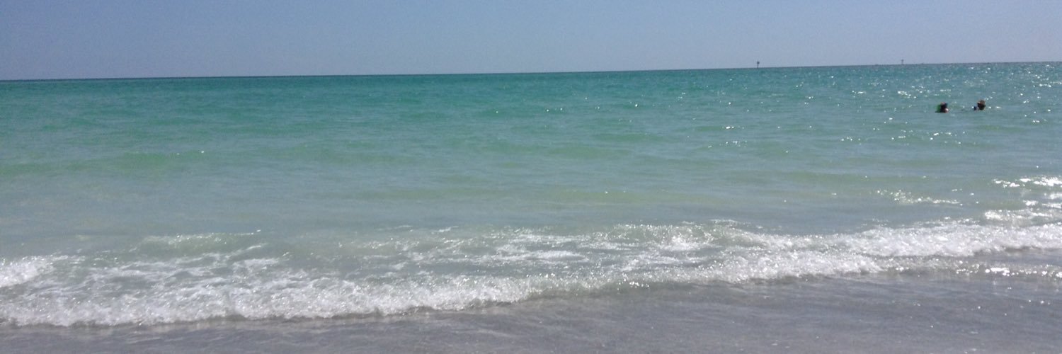 EmilyPesquera's profile banner image