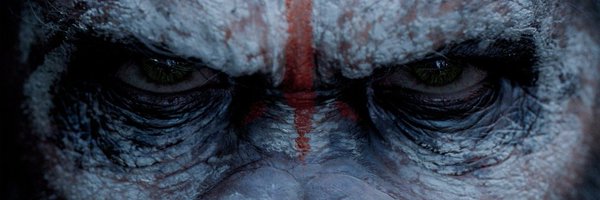 monkeysatwork Profile Banner