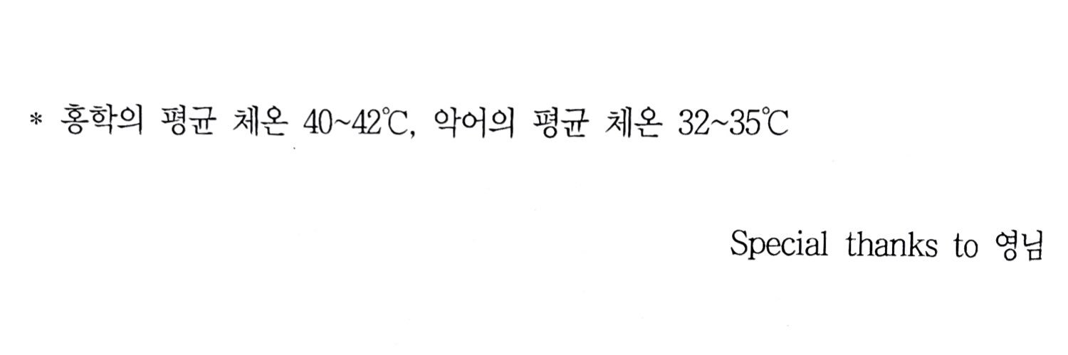 영🕯️'s banner