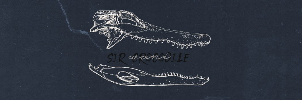 __Crocodad's profile banner image