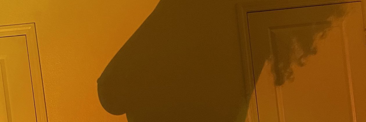 _ToryRena's profile banner image