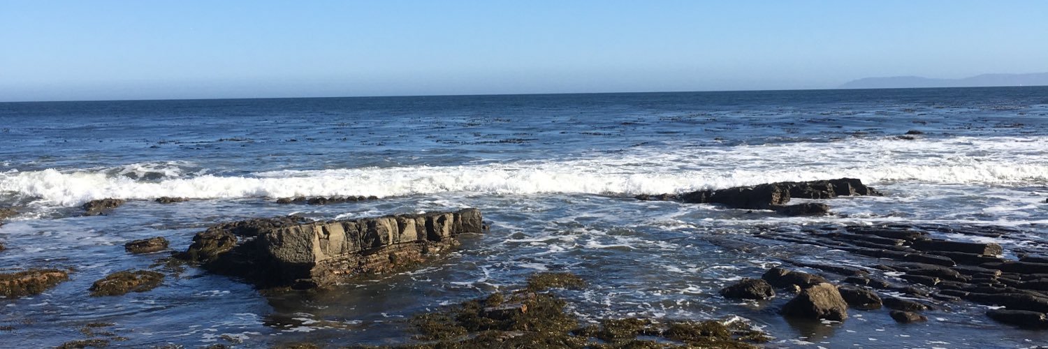 Wolf Chronicles banner