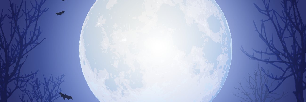 taqukimura banner