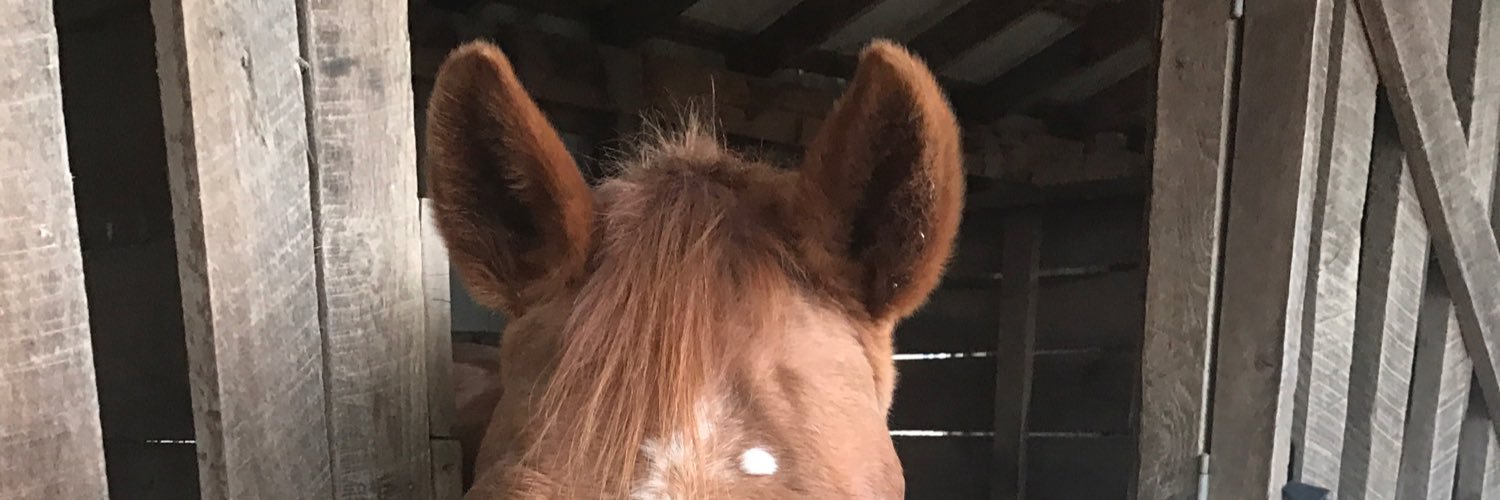 BlairKylee's profile banner image