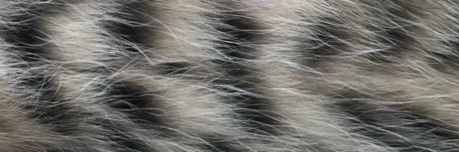 riepoco's profile banner image