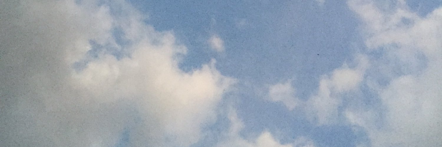 FtnHmzh's profile banner image