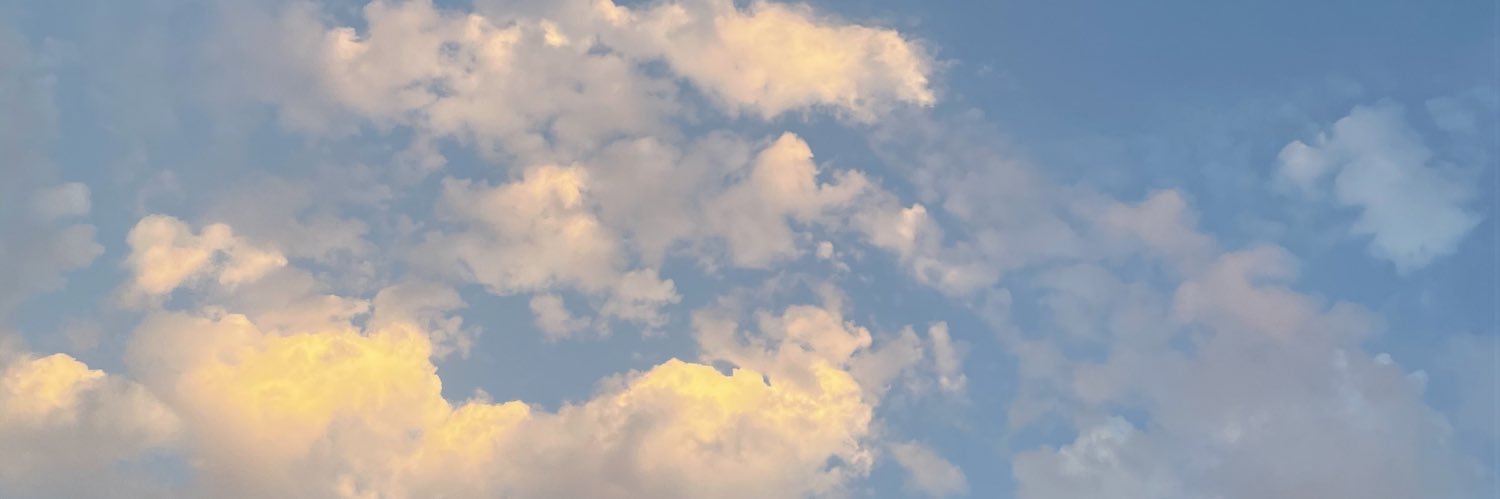 helloriks's profile banner image