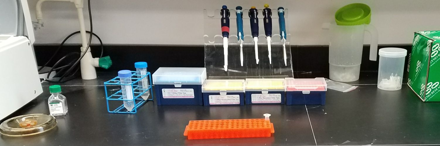 Crystal Kennedy, PhD banner