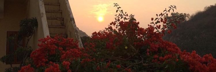 julianaestelle's profile banner image
